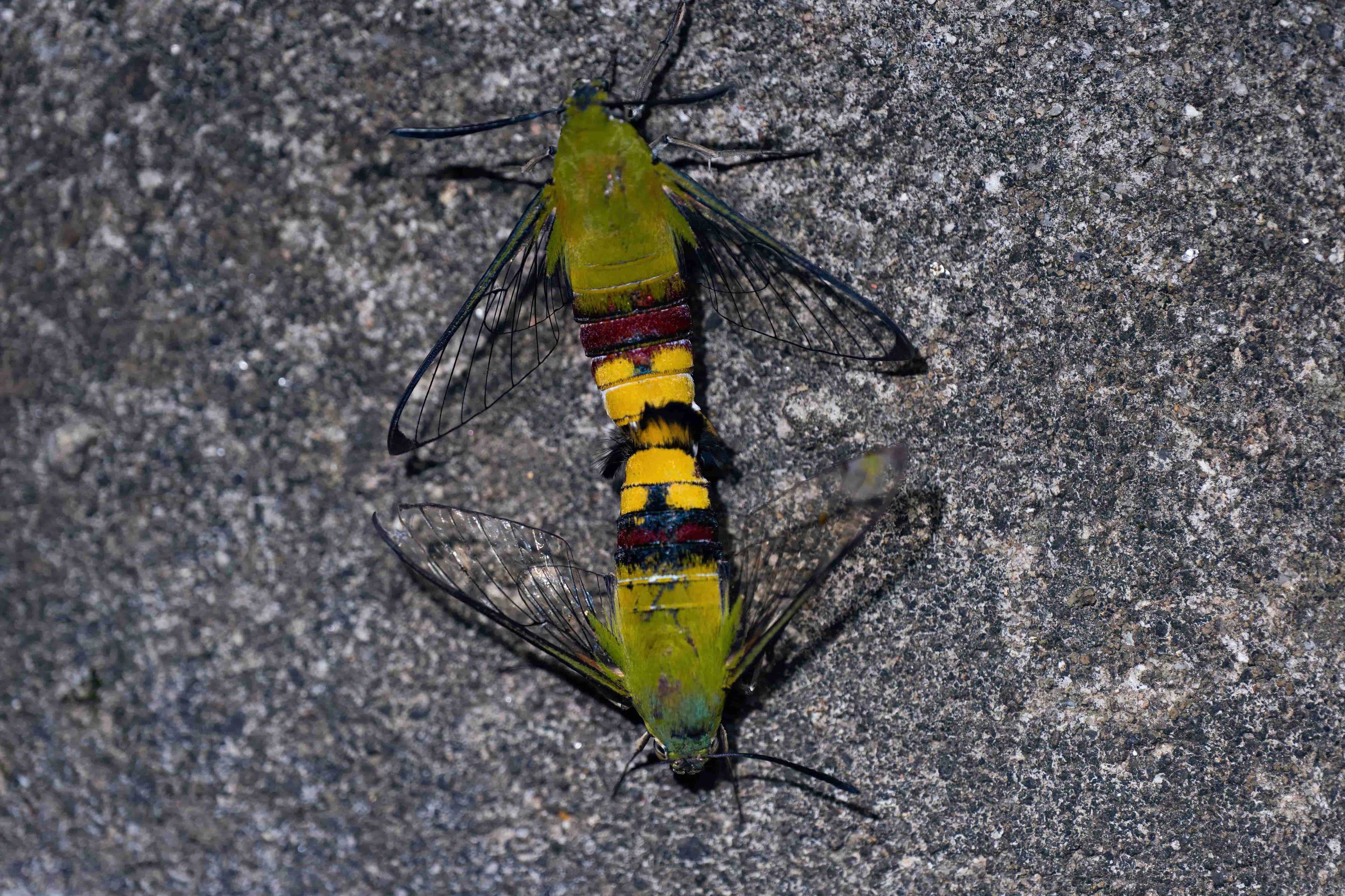 Background Image 1