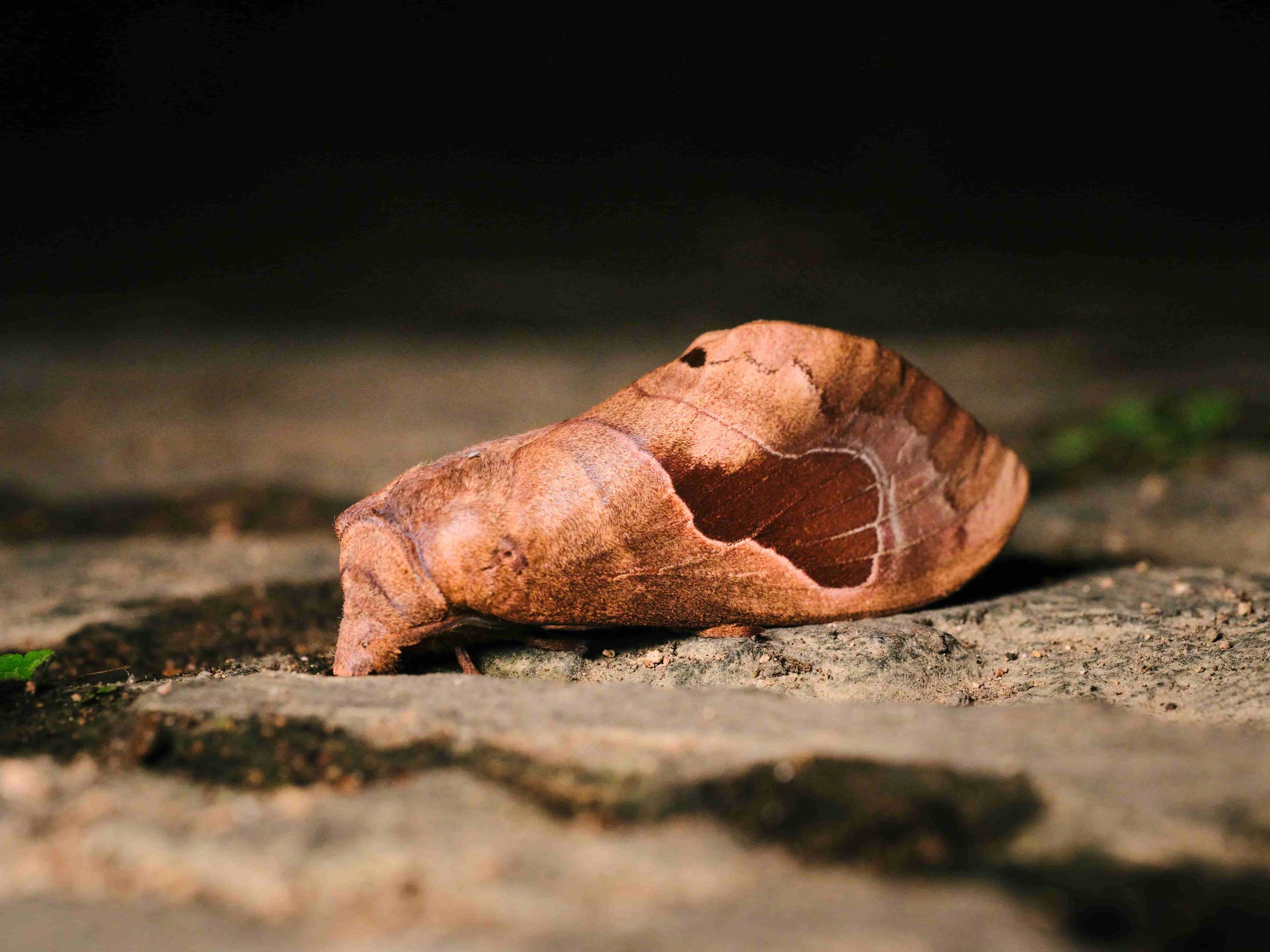 Background Image 3