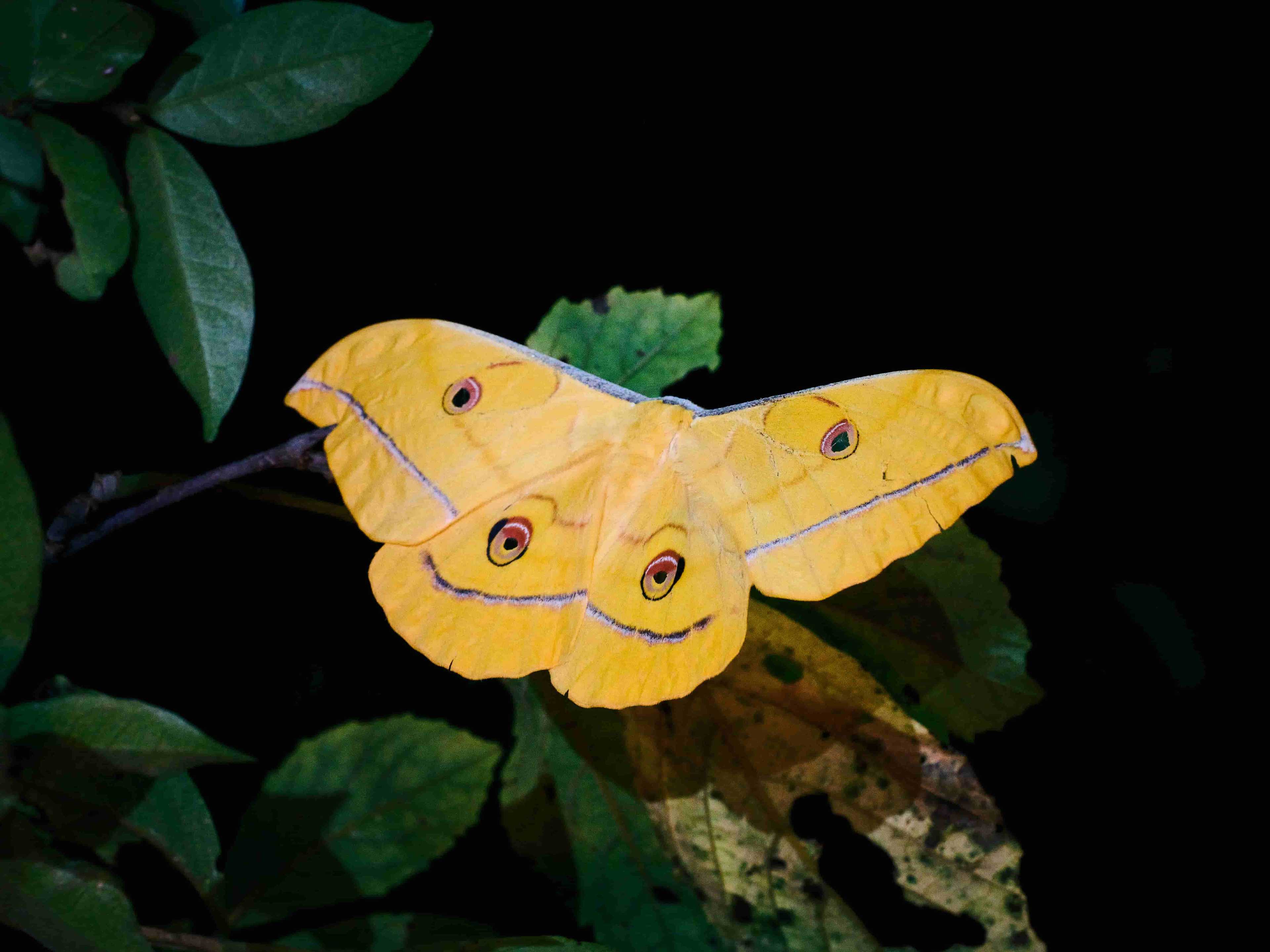 Background Image 4