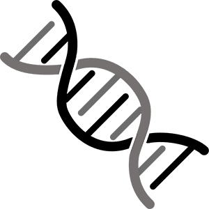 Genome