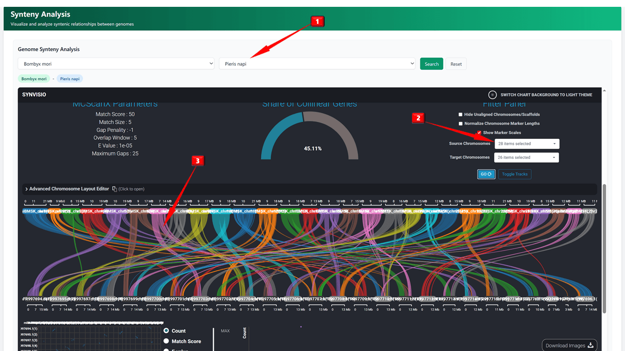 Genome Synteny Module Interface