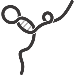 lncRNAs