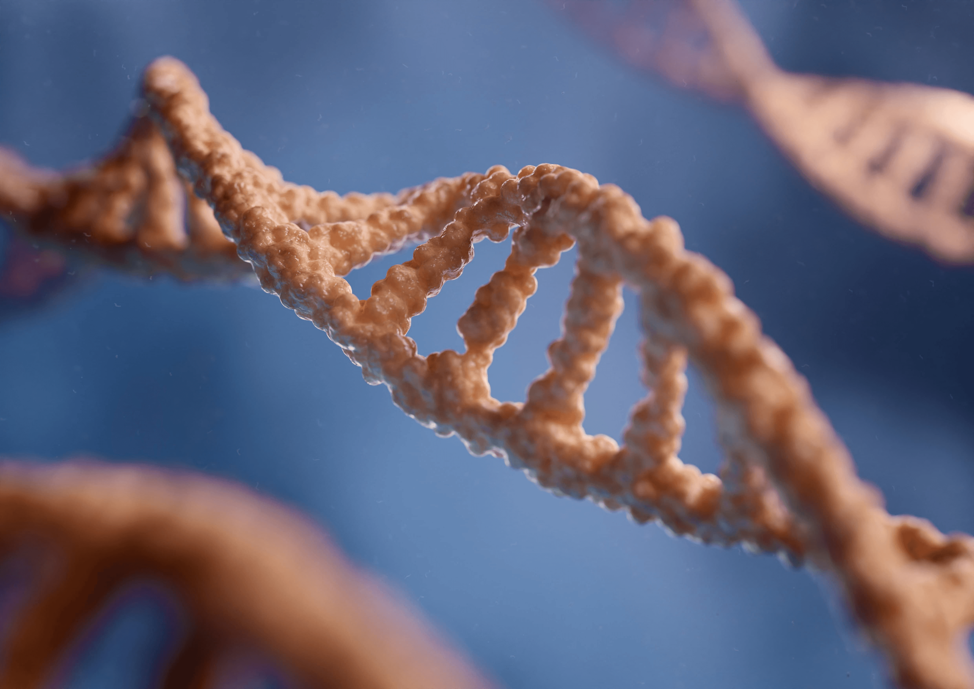 Chromosome