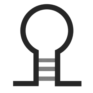 UTR