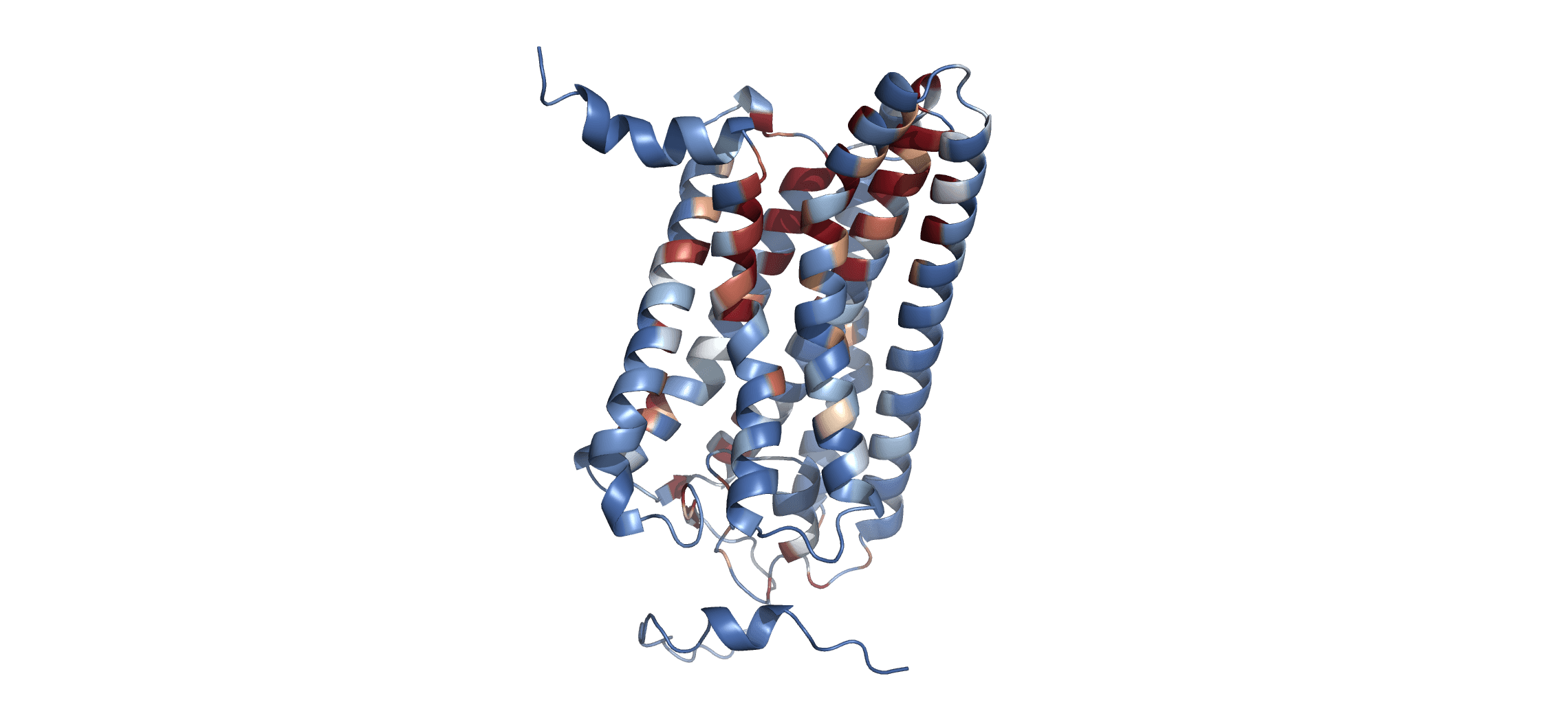Protein Structure