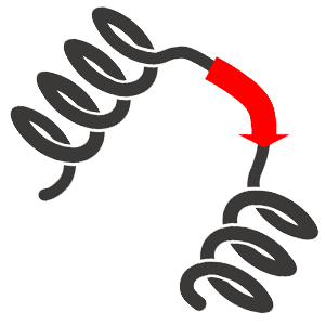 Coding Gene